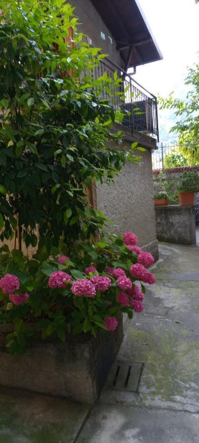 La Casetta Di Vassena Oliveto Lario Екстериор снимка